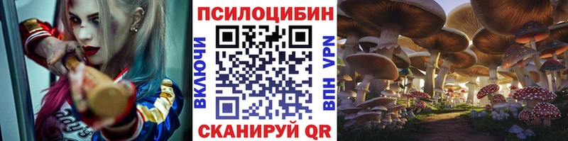 Псилоцибиновые грибы мицелий Озёры
