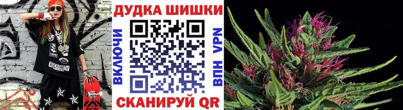 Конопля сатива  MEGA сайт  Озёры 
